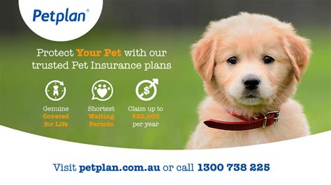 petplan vetline contact number.